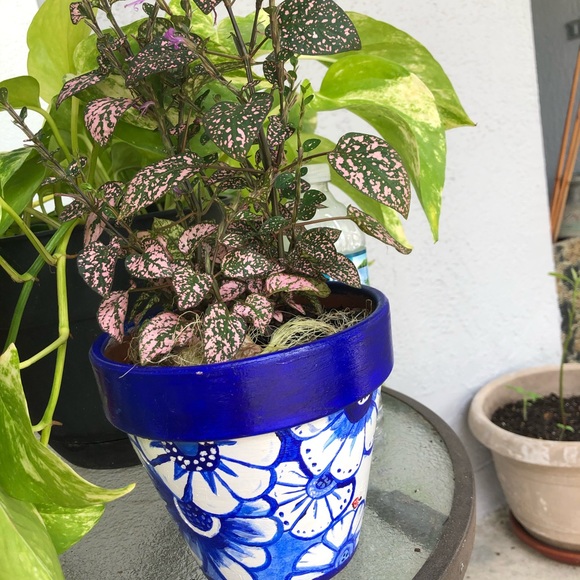 Meet your Posher, Zoe - Picture 1 of 1